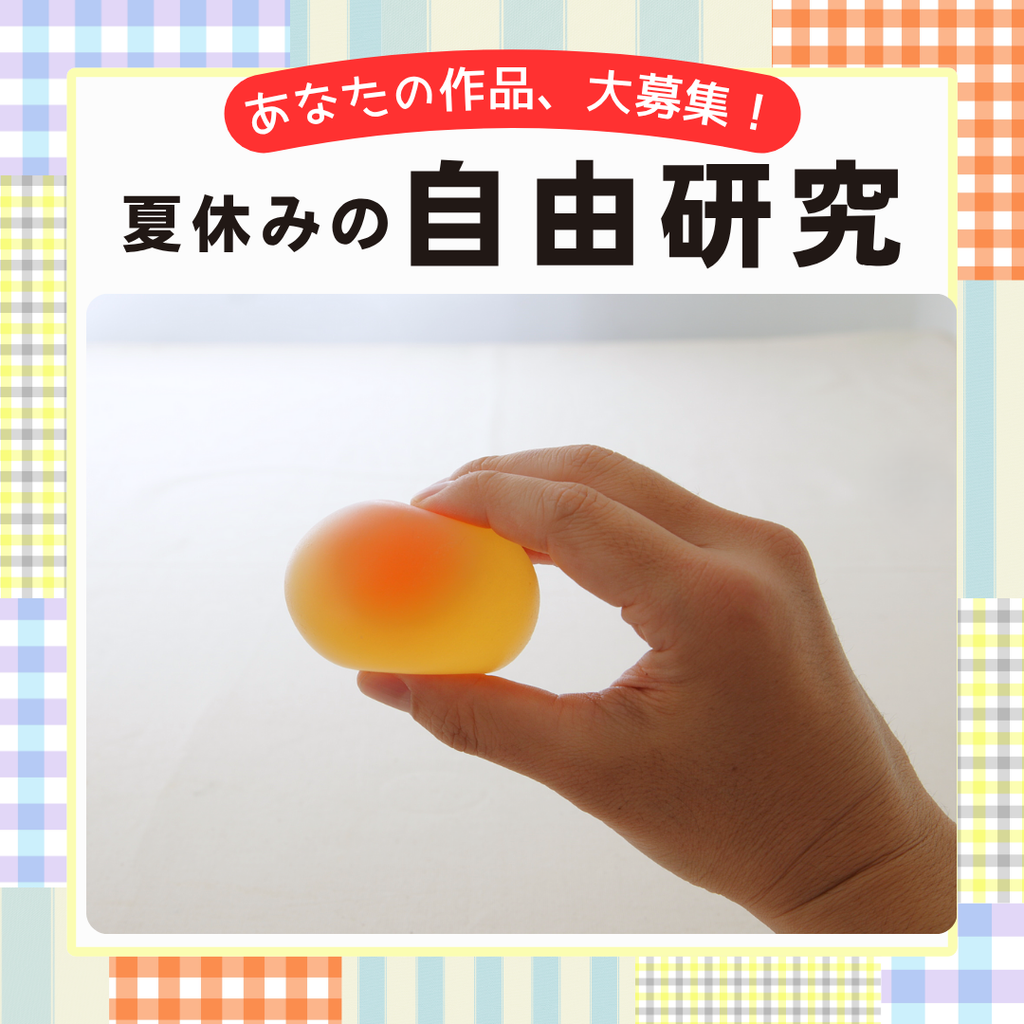 【参加賞も♪】夏休みの自由研究、大募集キャンペーン！