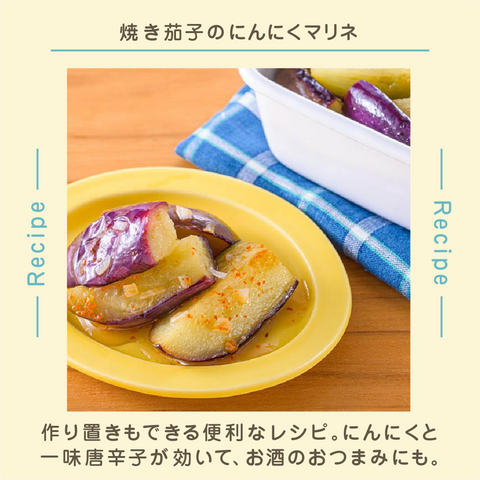 きょうの豆知識