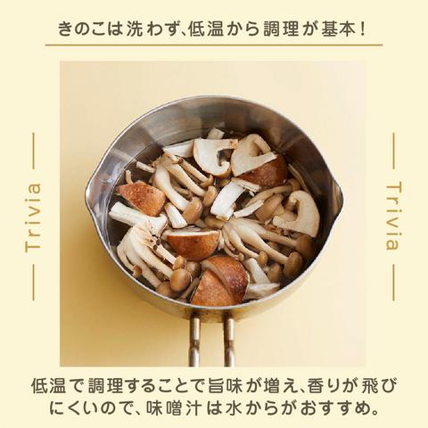 きょうの豆知識