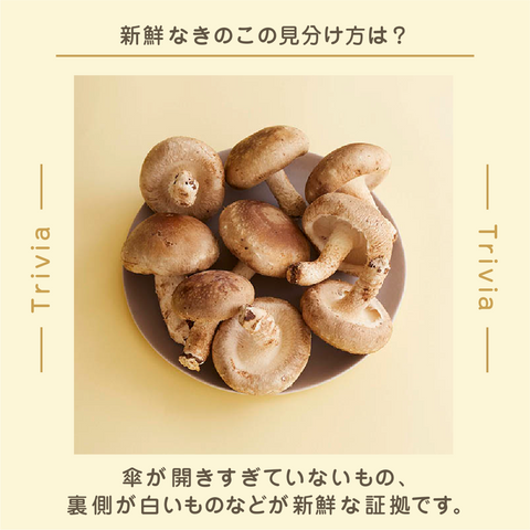 きょうの豆知識