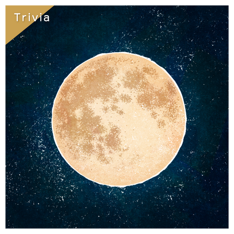 きょうの豆知識