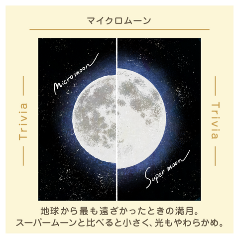 きょうの豆知識