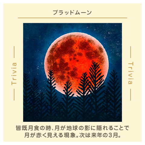 きょうの豆知識