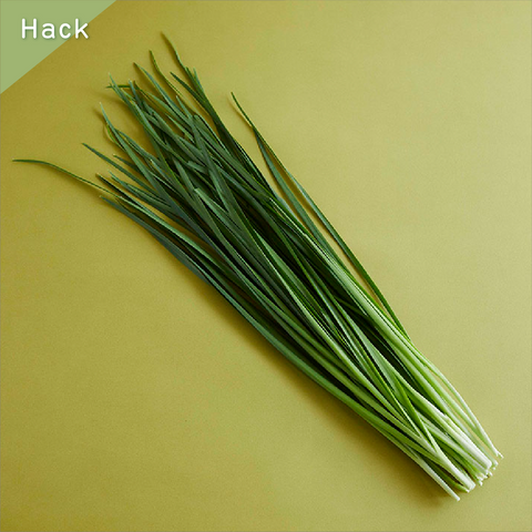 きょうの豆知識