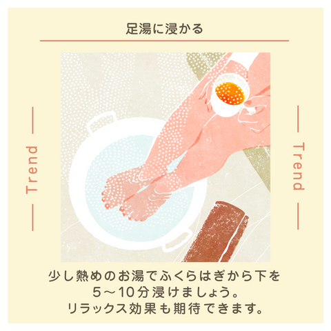 きょうの豆知識