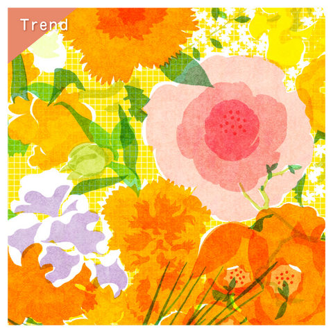 きょうの豆知識