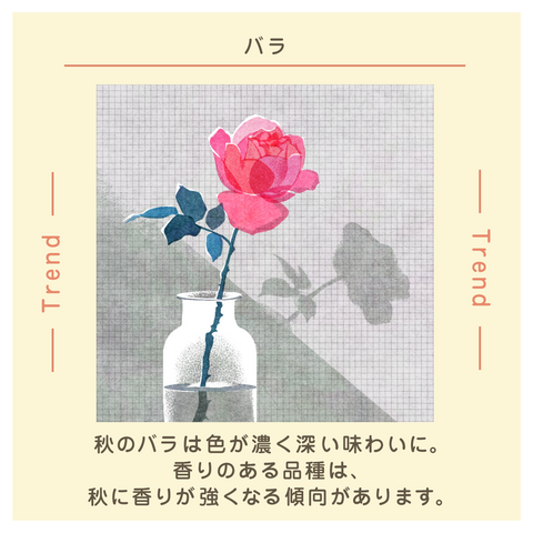 きょうの豆知識