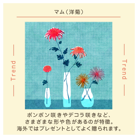 きょうの豆知識