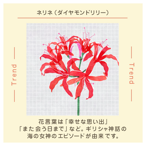 きょうの豆知識