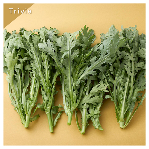 きょうの豆知識