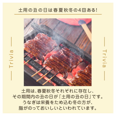 きょうの豆知識