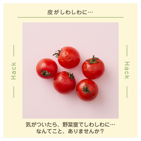 きょうの豆知識