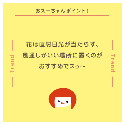 きょうの豆知識
