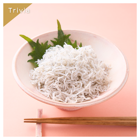 きょうの豆知識