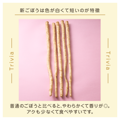 きょうの豆知識