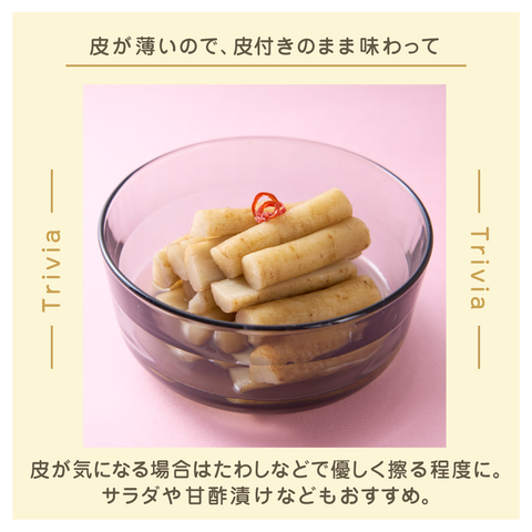 きょうの豆知識