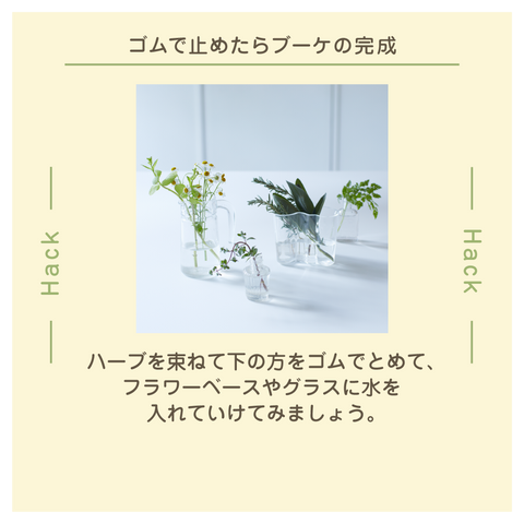 きょうの豆知識