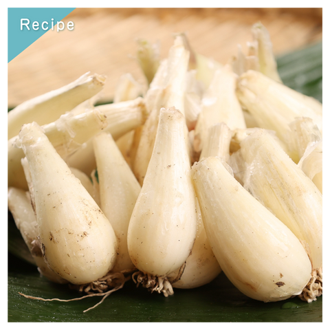 きょうの豆知識