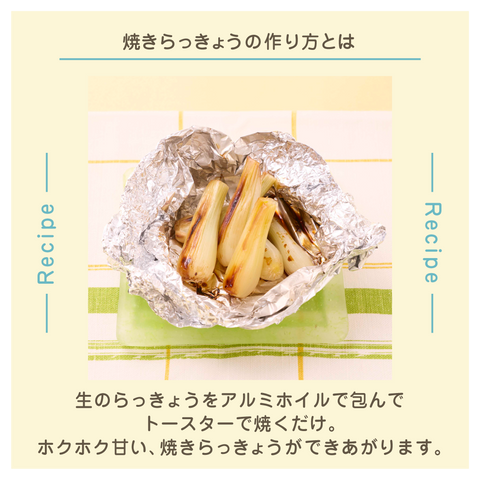 きょうの豆知識