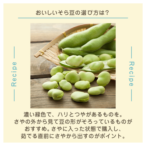 きょうの豆知識