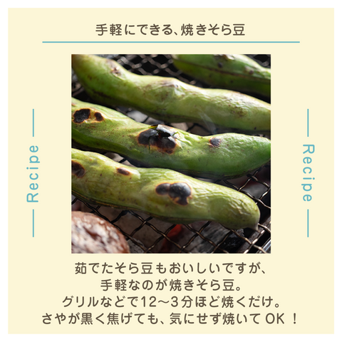 きょうの豆知識