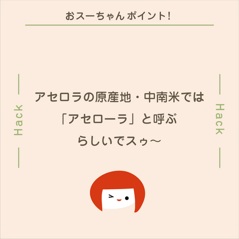きょうの豆知識
