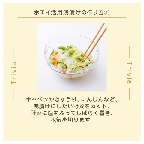 きょうの豆知識