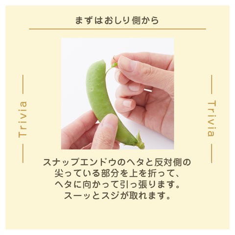 きょうの豆知識