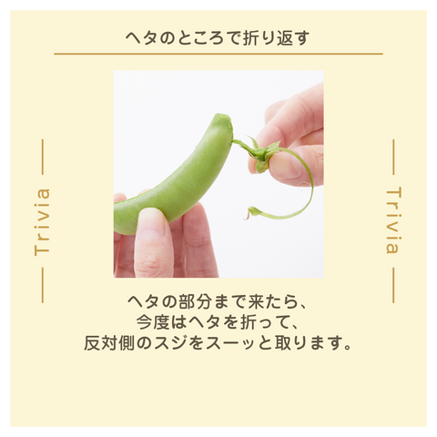 きょうの豆知識