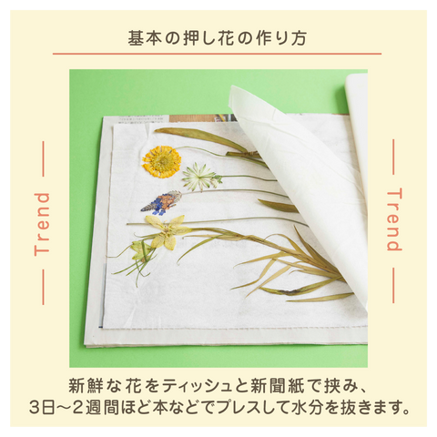 きょうの豆知識