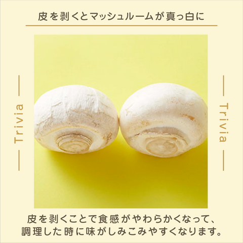 きょうの豆知識
