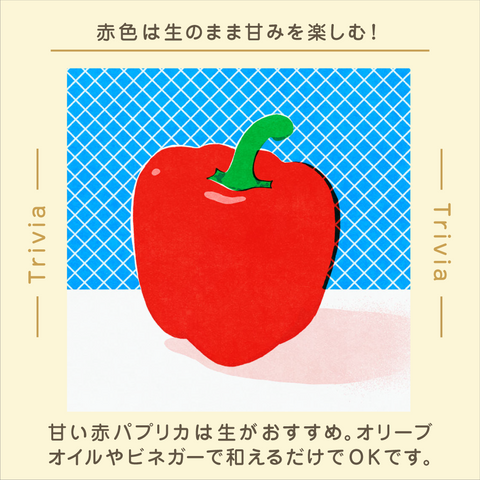 きょうの豆知識