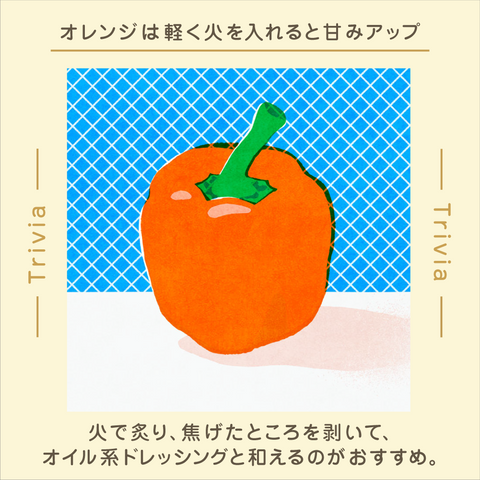 きょうの豆知識