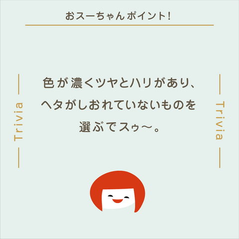 きょうの豆知識
